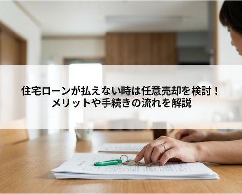 記事内画像 1 (10)