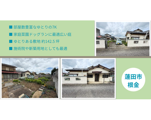 蓮田市 根金 (1) (1)