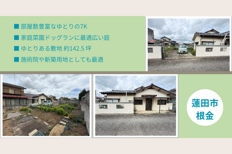 蓮田市 根金 (1) (1)
